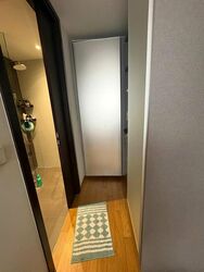 The Lilium (D19), Condominium #502633151